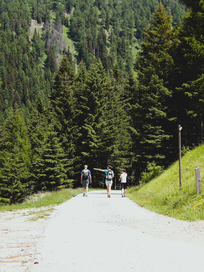 Wanderweg durch den Wald