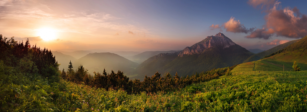 Aussicht über Wiesen und Wälder im Vessertal